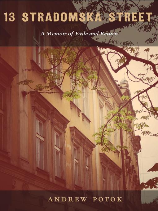 Cover image for 13 Stradomska Street